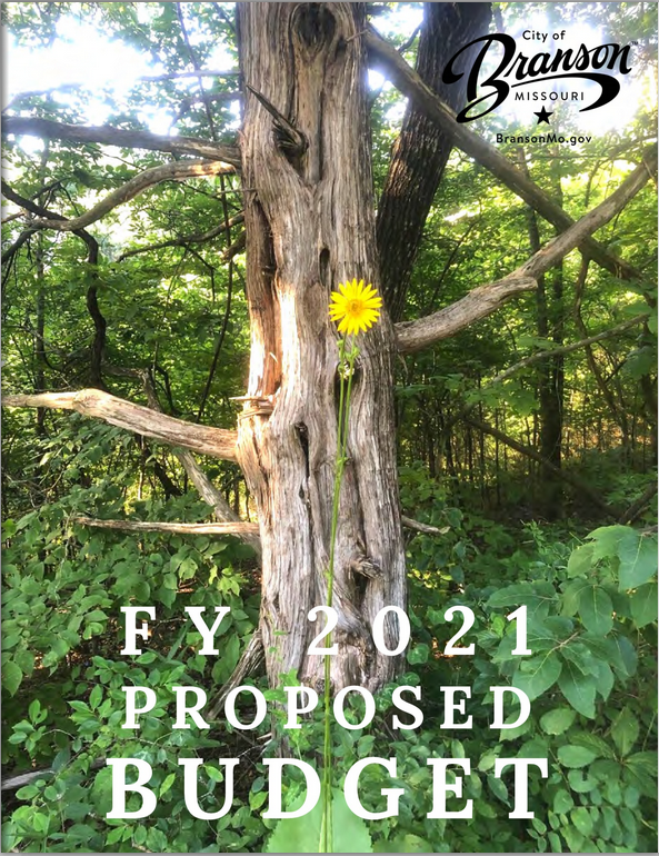 2021 Proposed Budget Book Opens in New Window